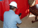 Pest Control Video Image