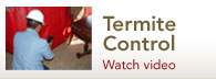Termite Control Treatment Video