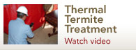Thermal Termite Treatment Video